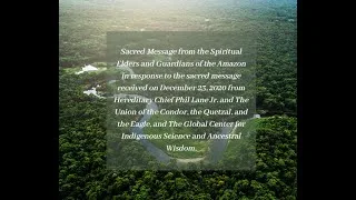 A Message of Unity from Eagle of North to and from Elders and Guardians of the Amazon, of Condor.